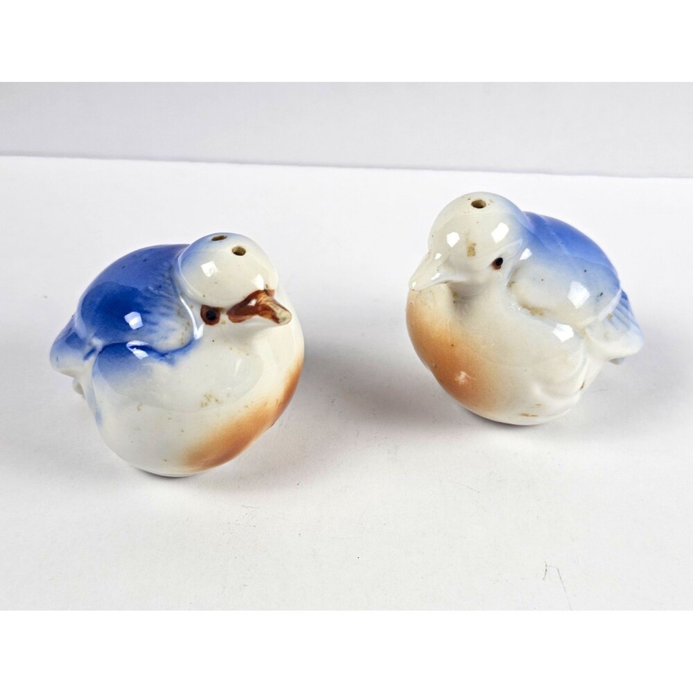 Blue & White Ceramic Bird Salt & Pepper Shaker Set Pair Animal Novelty
